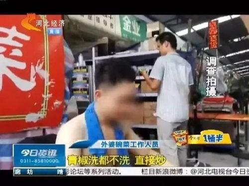 石家庄小餐饮爆料视频,卫生问题引关注 第1张 石家庄小餐饮爆料视频,卫生问题引关注 第1张